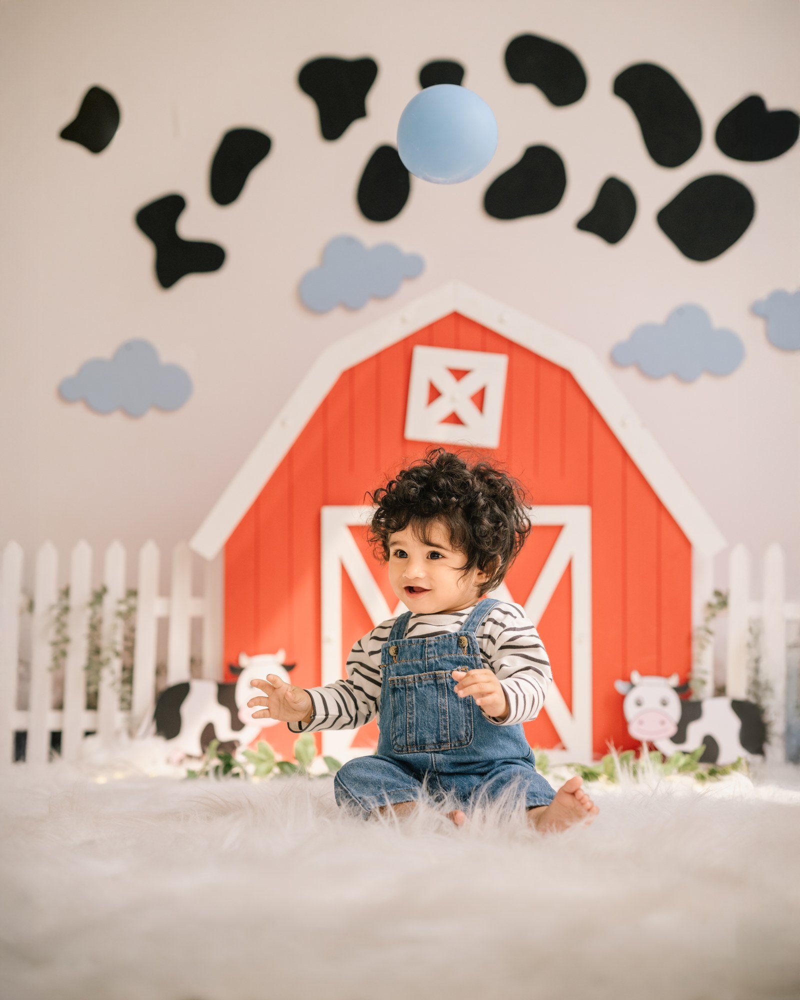 Toddler photography