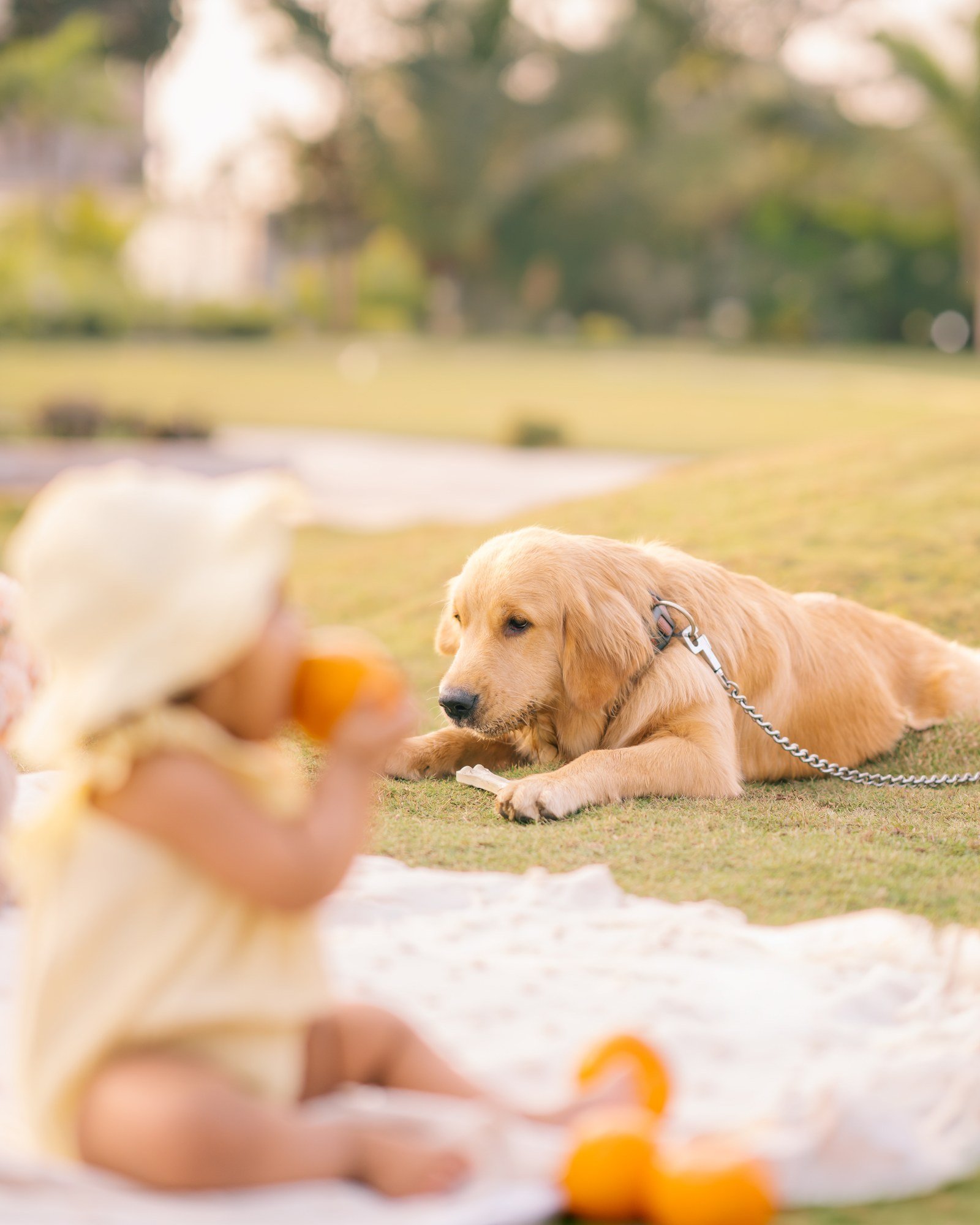 Toddler photography
