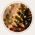 Christmas highlight